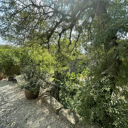 Le Domaine De La Tuilerie - De Charme En Bord De Riviere Avec Piscine *